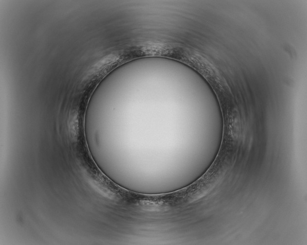 X0000112870690200908281625