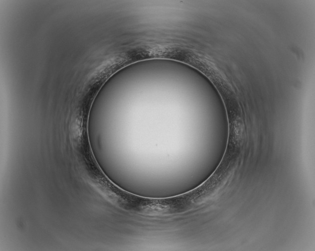 X0000112870691200908281625