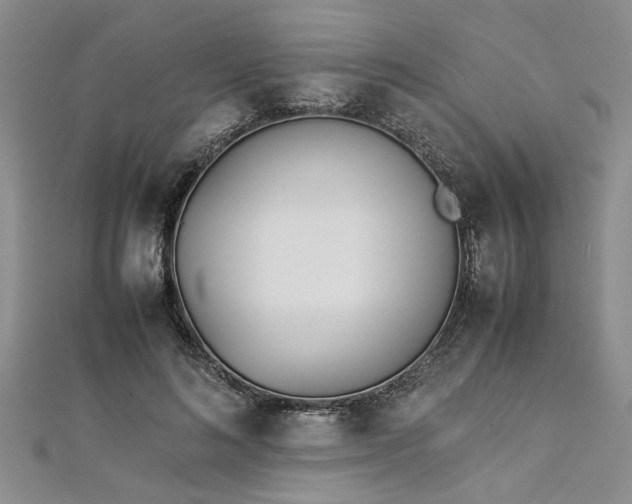 X0000112870692200908281625