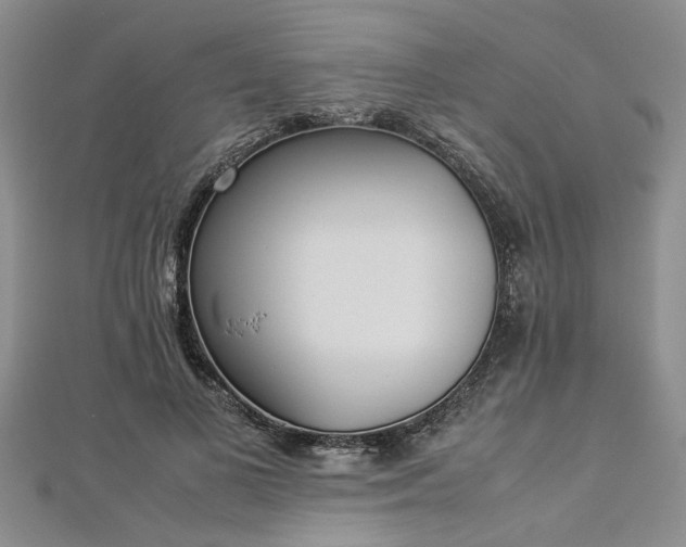 X0000112870693200908281625