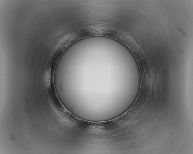 X0000112870694200908281625