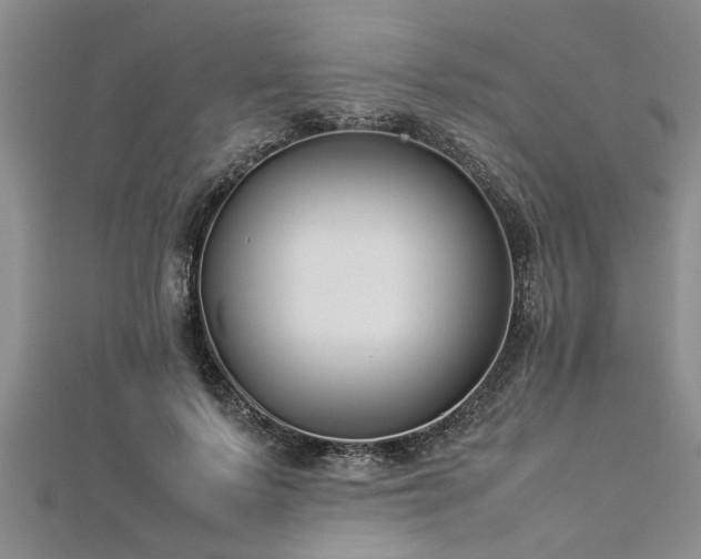 X0000112870695200908281625