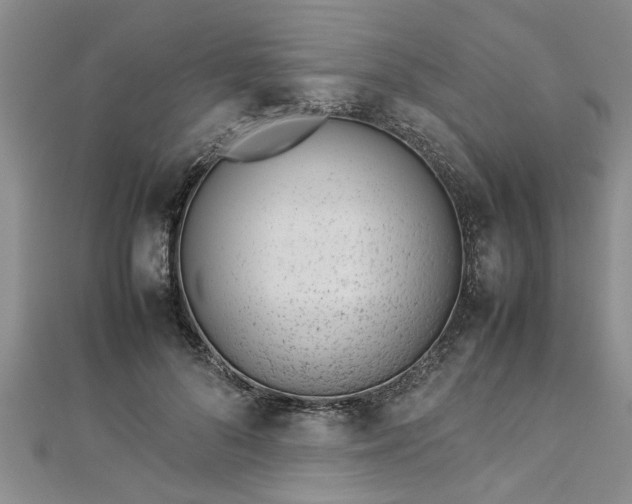 X0000112870696200908281625