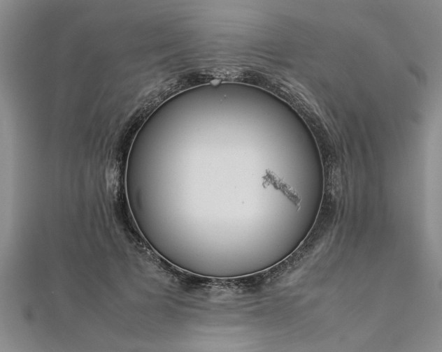 X0000112870697200908281625