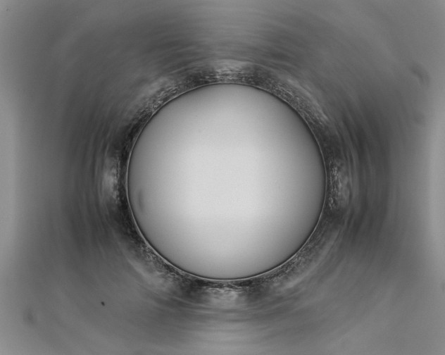 X0000112870698200908281625