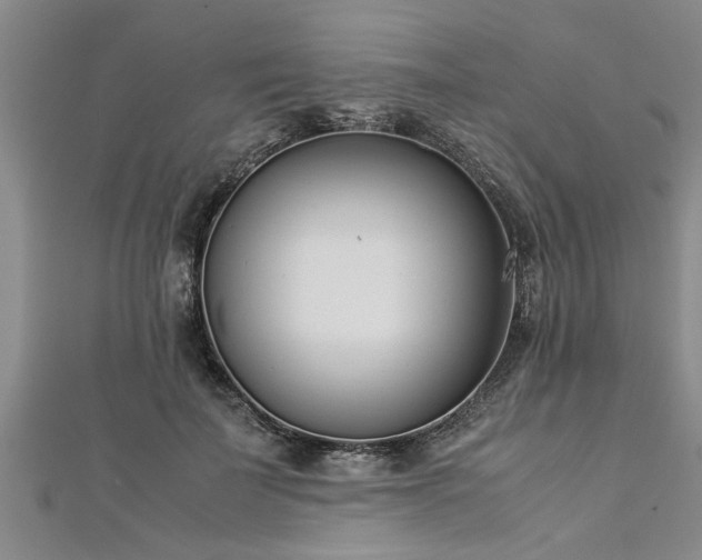 X0000112870699200908281625