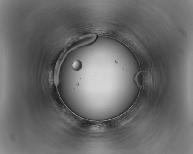 X0000112870700200908281625