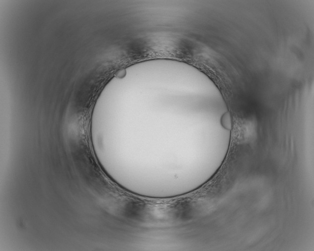 X0000112870701200908281625