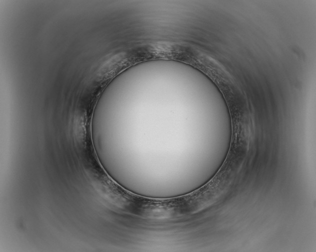 X0000112870702200908281625