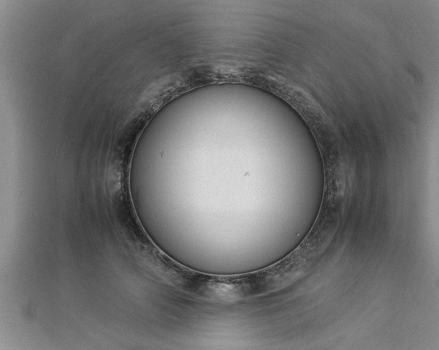 X0000112870706200908281625