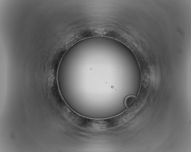 X0000112870707200908281625