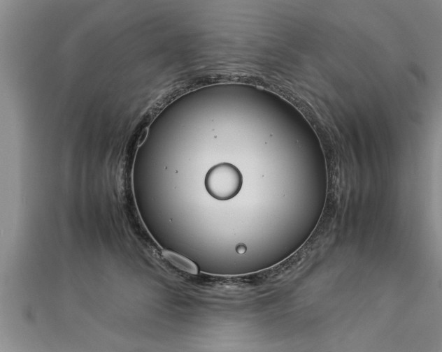 X0000112870708200908281625