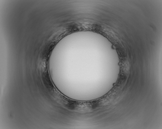 X0000112870709200908281625