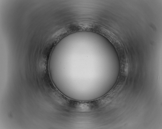 X0000112870710200908281625