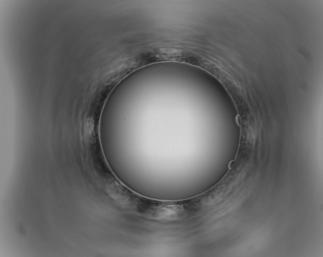 X0000112870711200908281625