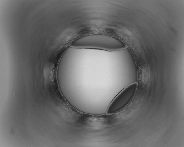 X0000112870712200908281625