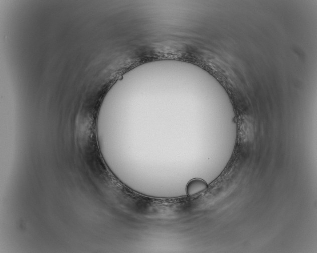 X0000112870713200908281625