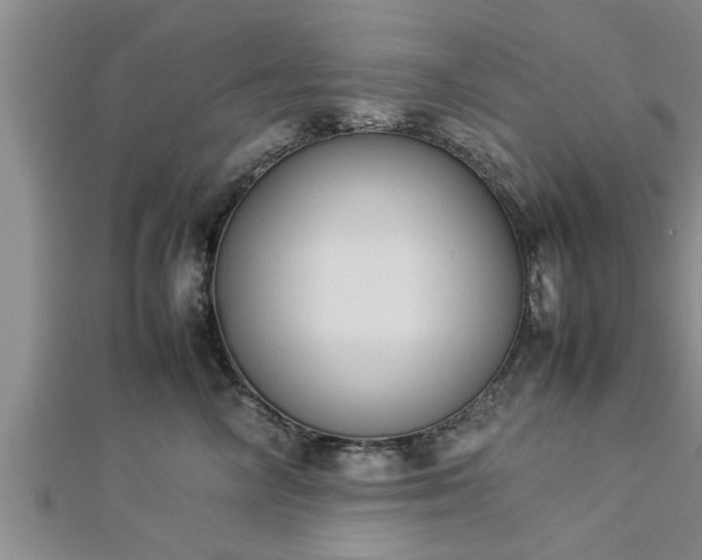 X0000112870714200908281625