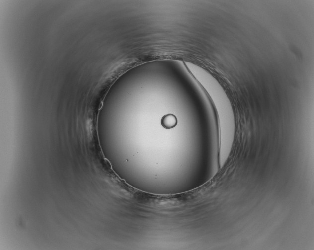 X0000112870716200908281625