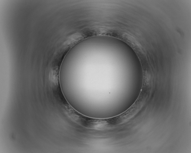 X0000112870719200908281625