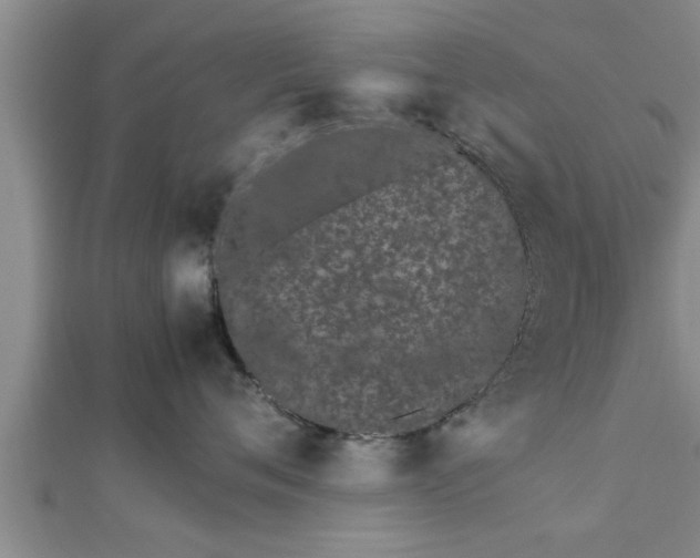 X0000112870720200908281625