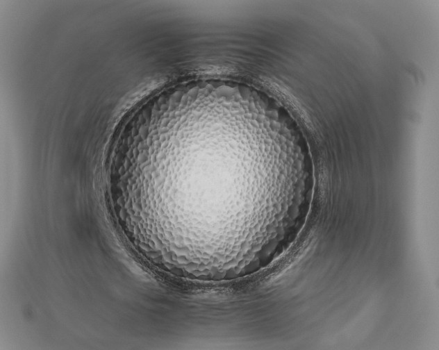 X0000112870721200908281624