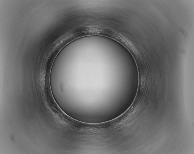 X0000112870722200908281624