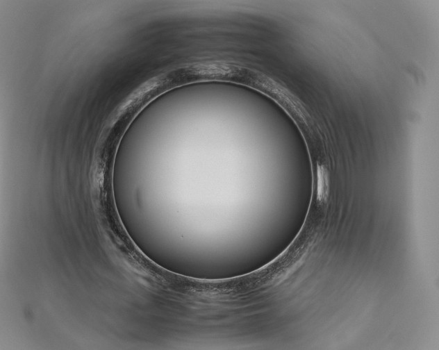 X0000112870723200908281624