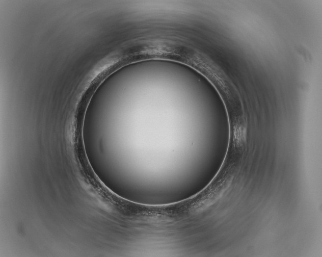 X0000112870724200908281624