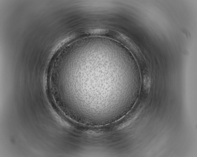 X0000112870725200908281624