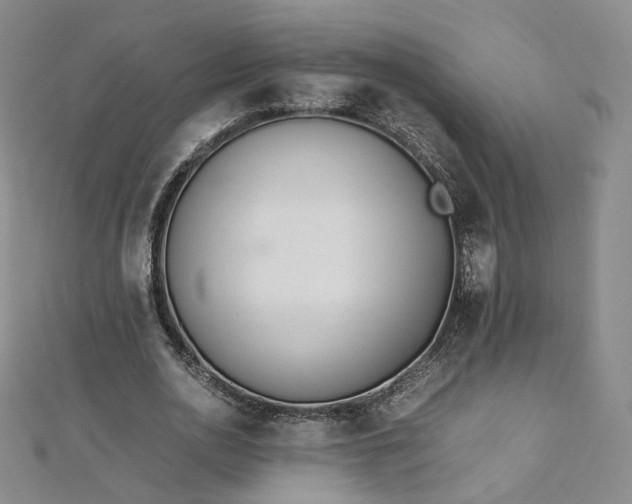 X0000112870726200908281624