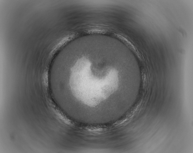 X0000112870729200908281624