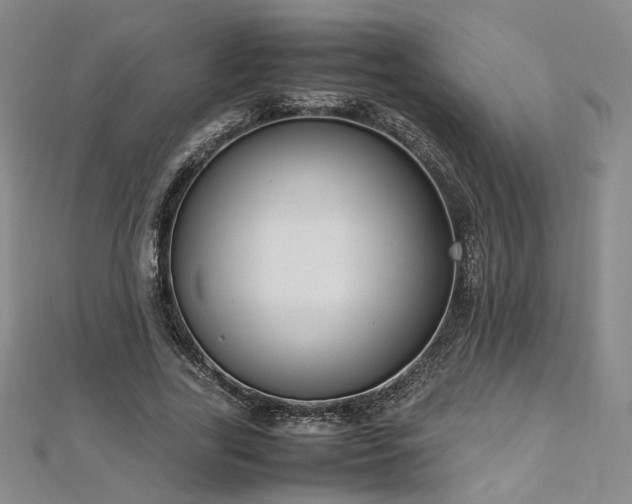 X0000112870731200908281624