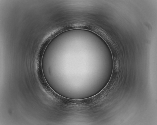 X0000112870732200908281624