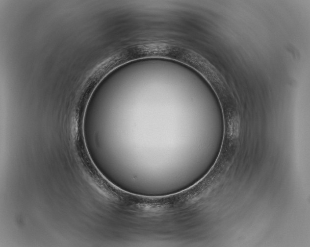 X0000112870733200908281624