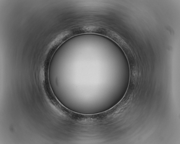 X0000112870734200908281624