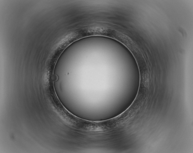 X0000112870735200908281624