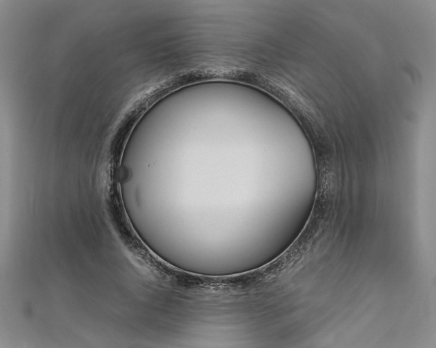 X0000112870736200908281624