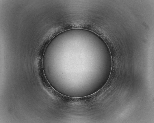 X0000112870738200908281624