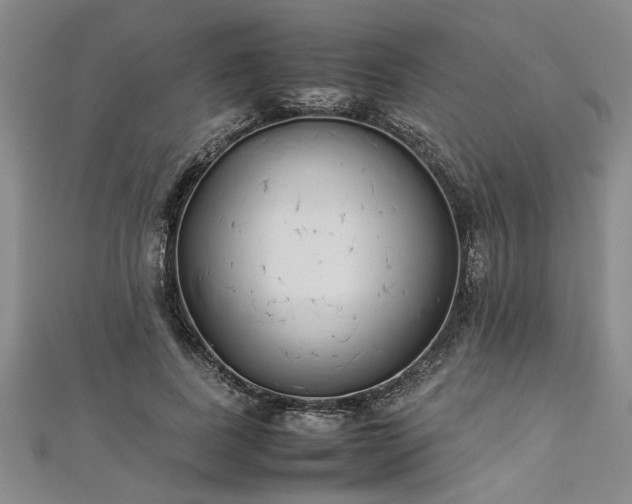 X0000112870739200908281624