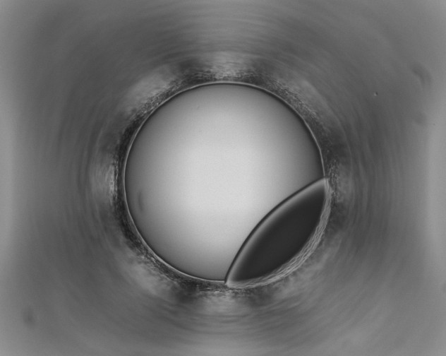 X0000112870740200908281624