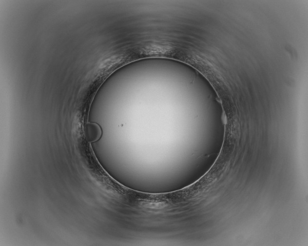 X0000112870743200908281624