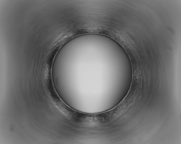 X0000112870744200908281624