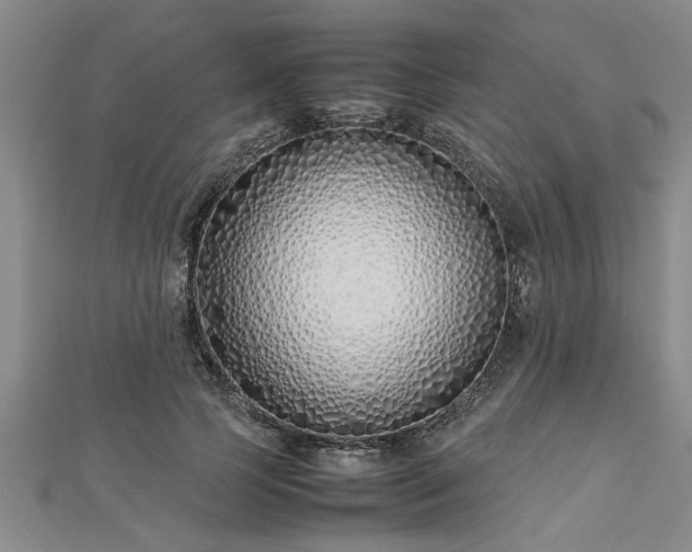 X0000112870745200908281624