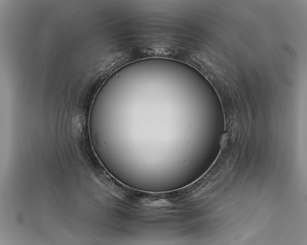 X0000112870747200908281624