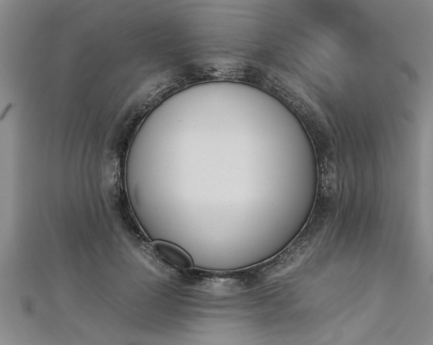 X0000112870748200908281624