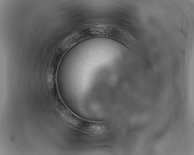 X0000112870749200908281624