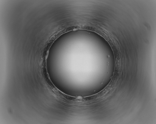 X0000112870750200908281624