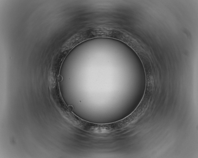 X0000112870751200908281624