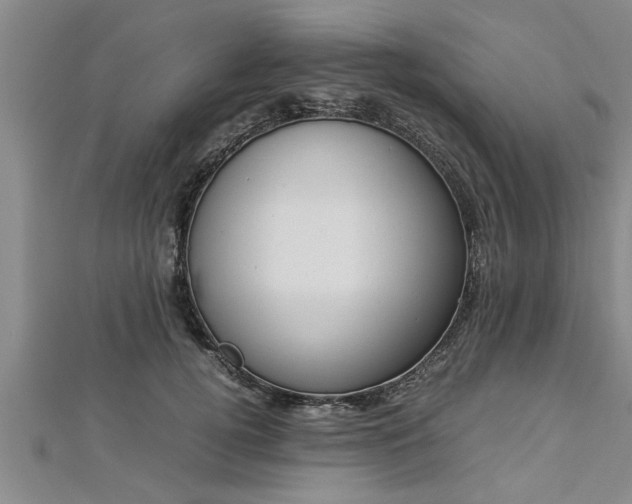 X0000112870752200908281624